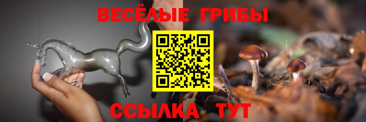 Псилоцибиновые грибы прущие грибы Топки
